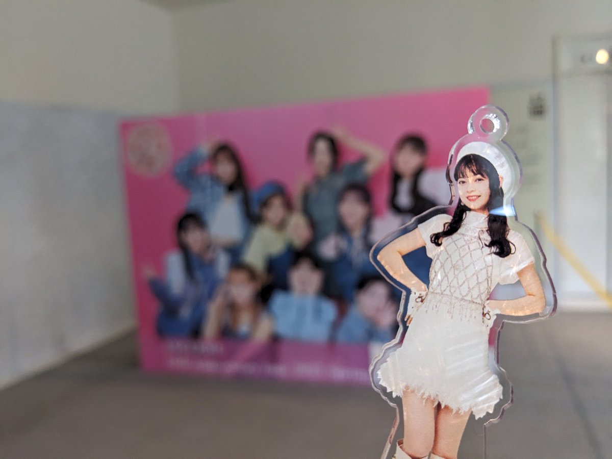 アンジュルム桜梅桃李へ🌸🤍
セトリ良き！ダンス良き！
新曲の光のうたすごくいい、好き🫶🏻