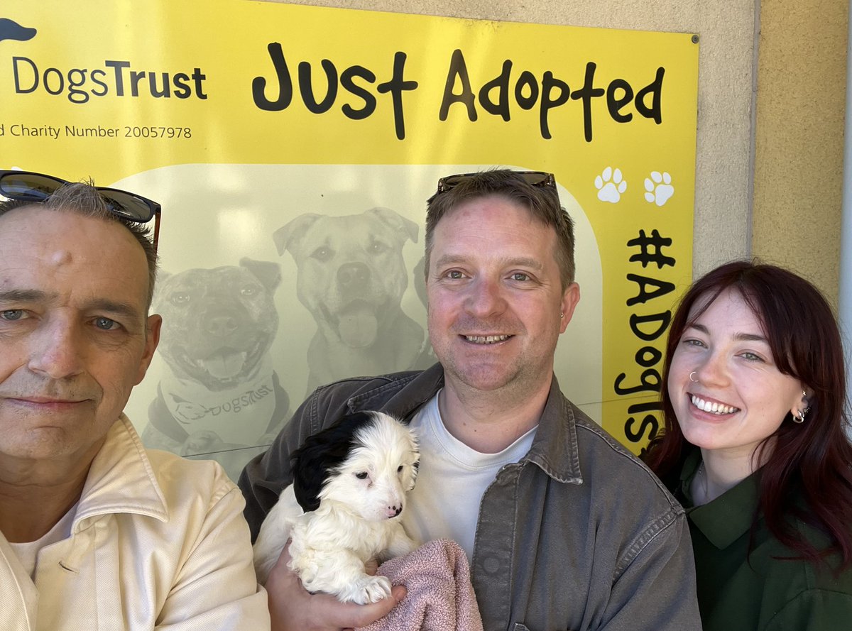 HughGillanders's tweet image. Meet the latest addition to @jamiecake and our home. Thank so much to @DogsTrust_IE - she’s so beautiful and settling in!! Thanks to the team interested / this is Lauren who was on hand to introduce us. #dogs #dogstrust .#Sunday #sundayvibes #love #WeekendVibes #thanks
