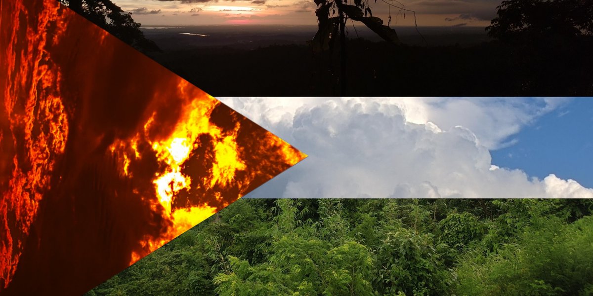 grumpyRumman's tweet image. From the River to the Sea, Palestine will be Free! 🇵🇸

#StrikeForGaza #projectRafah #StandWithGaza