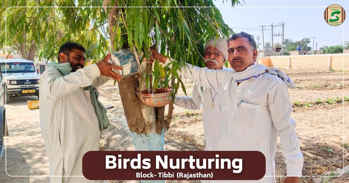 GreenSwelfares's tweet photo. Compassion in every corner, care in every act!   

As the summer heat continues to rise, Shah Satnam Ji Green ‘S’ Welfare Committee volunteers from Tibbi (Rajasthan) have taken a thoughtful step to protect our feathered friends. They have hung earthen pots in various locations to provide fresh water and feed for birds struggling in the scorching heat. Not only this, but they also distributed earthen bowls to encourage more people to join this noble cause. A small effort can bring big relief to these voiceless souls! 

#BirdCare #SummerSupport #BirdsNurturing