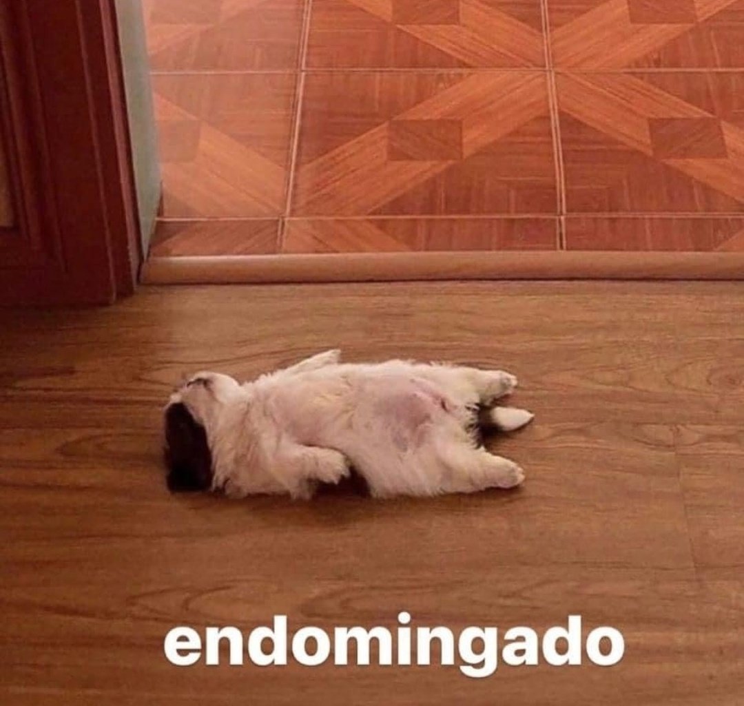 En Júpiter (@en_jupiter_) on Twitter photo 