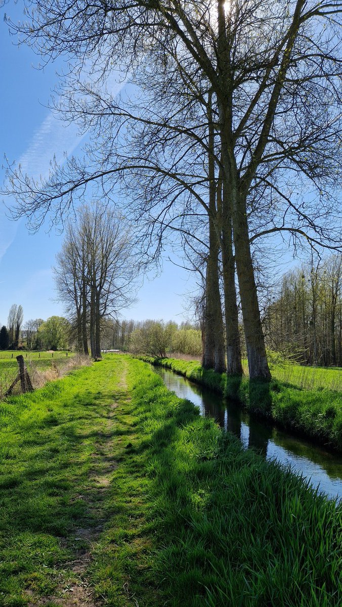 ThomasDeRijdt's tweet photo. #vrtweer #steentjesbos #erps #kwerps https://t.co/gWlDbETgMw