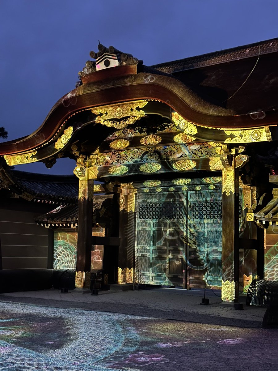 【元離宮二条城】
世界遺産である二条城へ桜のライトアップを見に行きました🌸
敷地内の庭園の桜は満開でとても綺麗でした！！
次はどこへ行こう🤔オススメはコメントまで🙇

instagram.com/p/DIGxC6DP-D6/…

<a href="/amitie_top/">おこしやす京都AC【公式】</a> 

#おこしやす京都ac 
#おこしやす京都 
#伊東稜晟 
#サンキュー
#元離宮二条城 
#桜