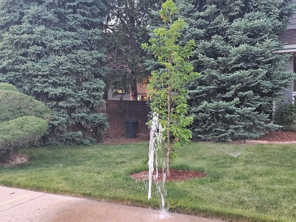 We highly recommend waiting until the frost-free date, around May 15, to turn on your sprinkler system. When you do, be sure to  check your system monthly for signs of sprinkler damage. Need help? Check out our free Outdoor Water Assessment Guide zurl.co/E9dzh .