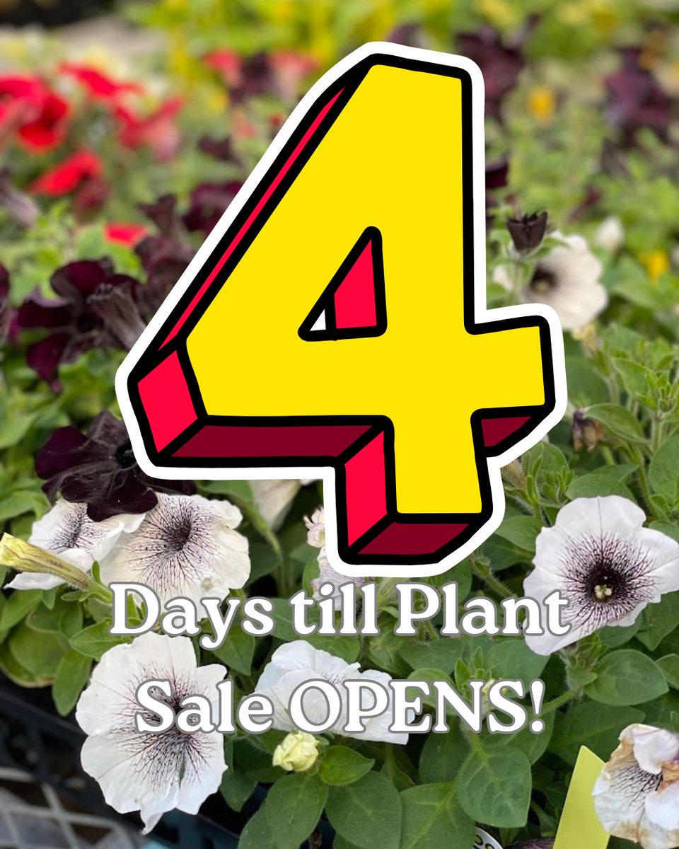 Apex FFA tweet media