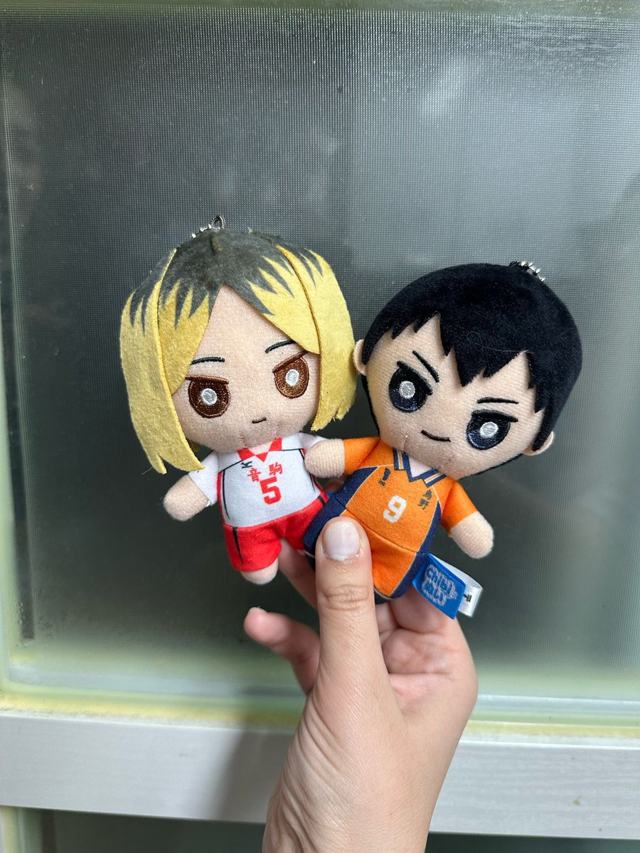 my sister got us matching haikyuu dolls i’m crying 

#kenma #kageyama #haikyuu