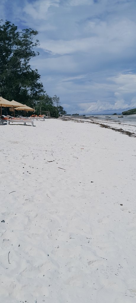 ProfitableKe's tweet image. 🌴 Watamu Getaway – Resort Apartment with a Pool! 🌊

Looking for the perfect coastal escape?
 Our spacious deluxe executive apartments inWatamu is just a 5-minute walk to the beach and can comfortably host up to 24 guests. Whats app 0735 054635