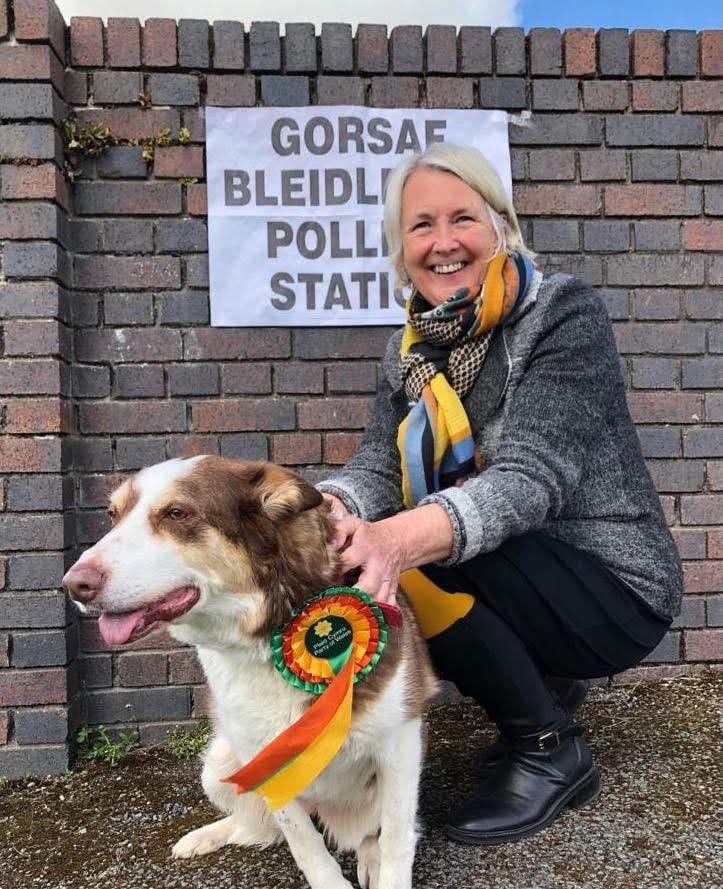 Siân Gwenllian - Gwynedd Maldwyn tweet media