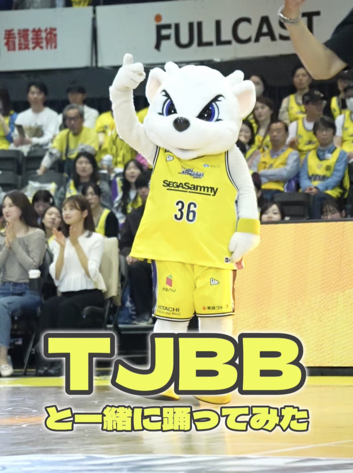 サンロッカーズ渋谷×フリークスストア】大人気シリーズ
