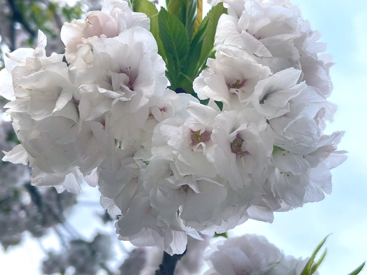 メディア女子コミュニティ(仮) tweet media