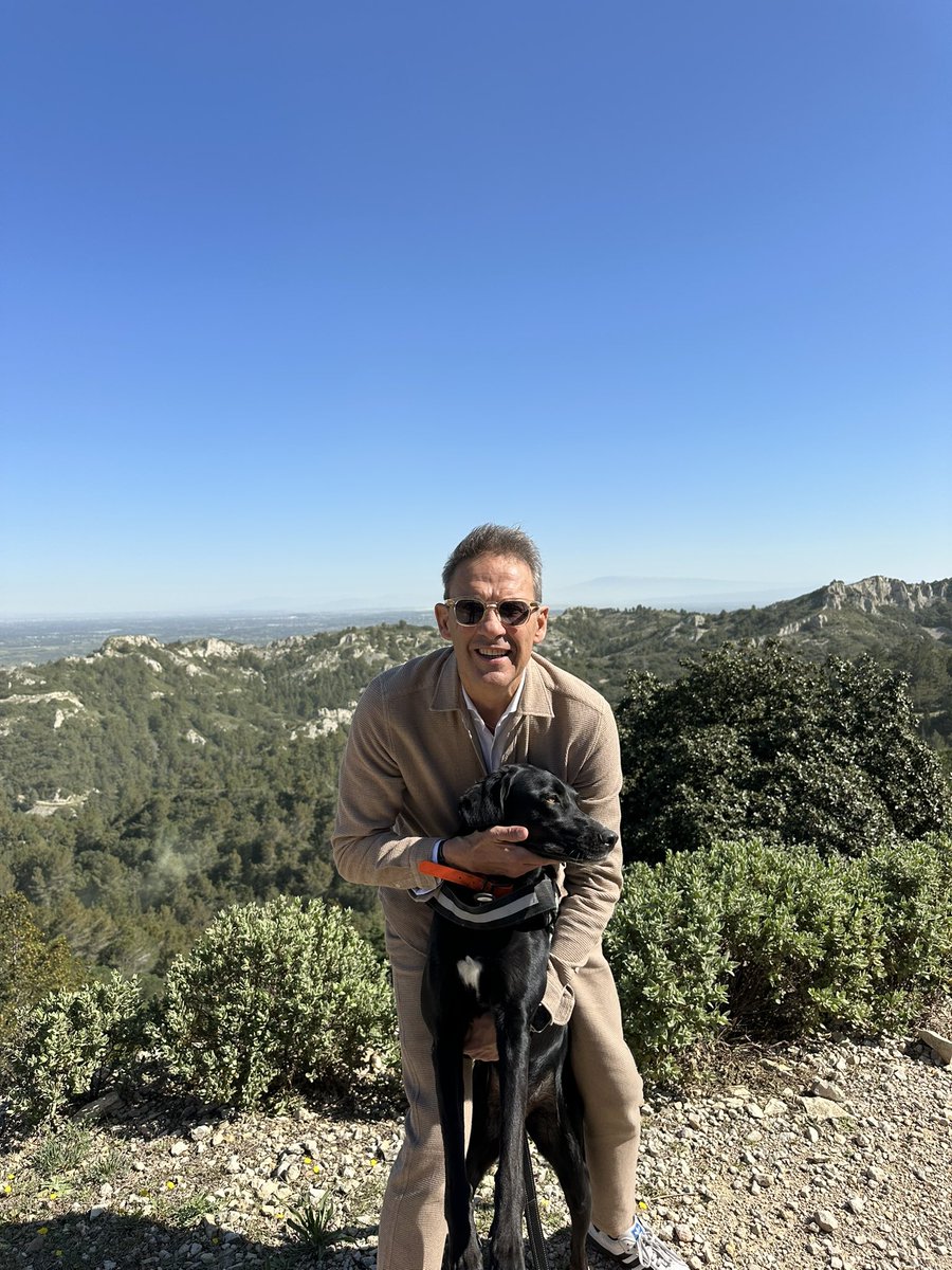 #simonelechien dans les alpilles ! Bises à tous