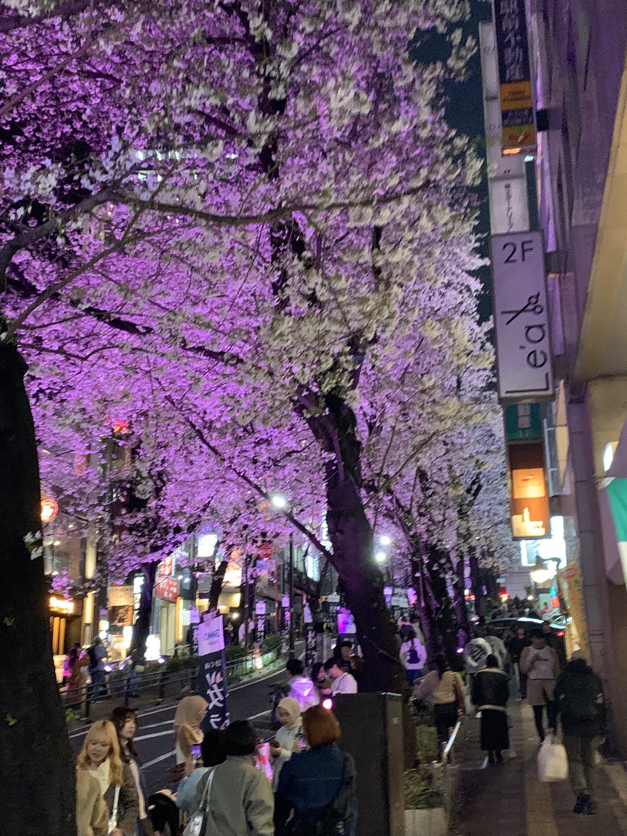 FarmsideRecords's tweet photo. 05/04ライブの打ち合わせをサウンドプロデューサー、バンドマスターとやりました！スケジュール合って良かった…
毎年この時期は渋谷のさくら坂は大にぎわいでライトアップされる夜は特に人すごい…
僕はゆっくり眺める暇もなくそそくさと帰りましたとさ🚅  本番まであと1ヶ月。頑張ります💪 https://t.co/ykjHMPfmNY