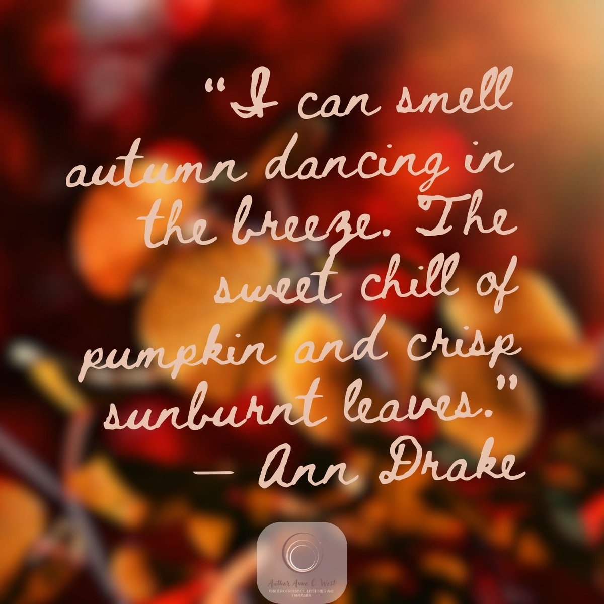 authorannecwest's tweet image. My body changed. My mindset had to catch up. This one’s for anyone who&apos;s ever woken up and not recognised the person in the mirror. #StrengthInProgress #Readers annecwest.co.za/movement-minds…