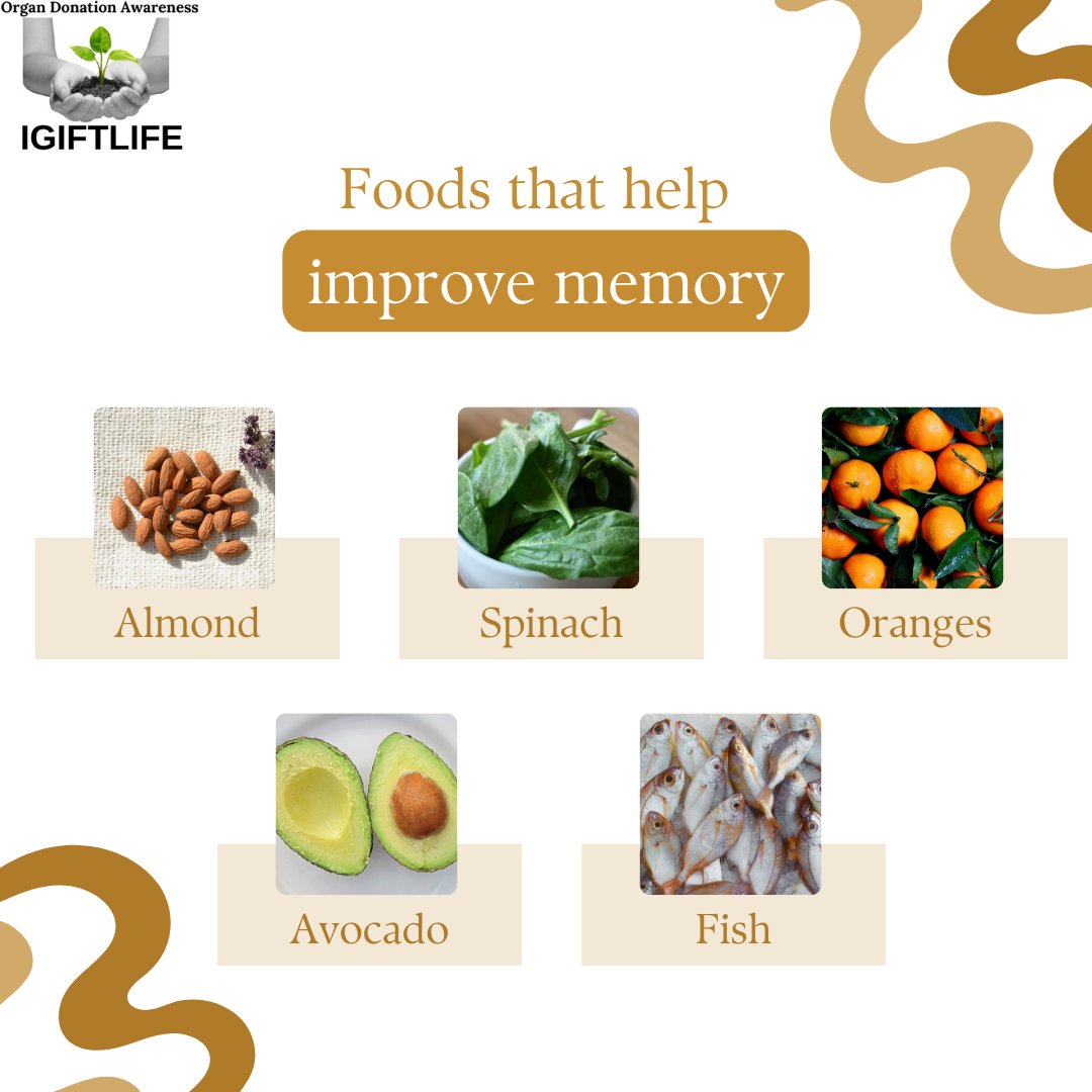 igiftlife's tweet image. Boost your brain power 🧠 with these memory-enhancing foods!  
Fuel your mind with nature’s own best &amp;amp; your brain will thank you!  

Eat smart, think sharp!  

#BrainFood #HealthyEating #MemoryBoost #NutritionTips