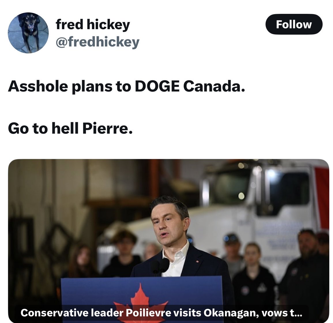 🇨🇦shelley tweet media