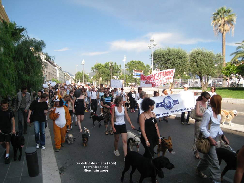 Terre bleue🌍 être à part et prendre part 1999-XXI tweet media