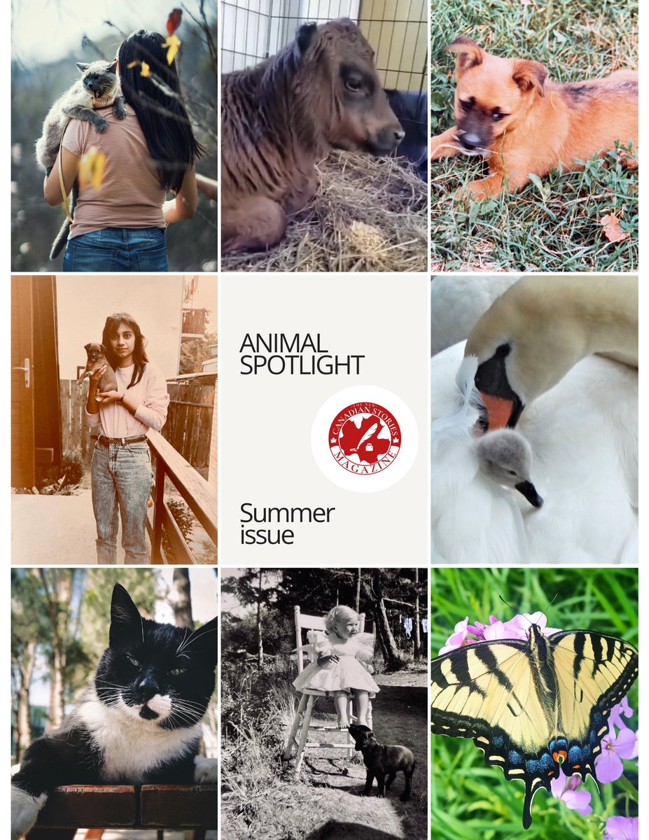 Nancy @ The New Canadian Stories (@nancythefurmom) on Twitter photo Happy Sunday! Our Summer issue of The New Canadian Stories is coming soon, we can’t wait to feature our Animal Spotlight filled with heart melting short stories and poetry! Watch for two amazing poems by <a href="/reneecronley/">Renee Cronley</a> among others! Happy Sunday! Our Summer issue of The New Canadian Stories is coming soon, we can’t wait to feature our Animal Spotlight filled with heart melting short stories and poetry! Watch for two amazing poems by <a href="/reneecronley/">Renee Cronley</a> among others!