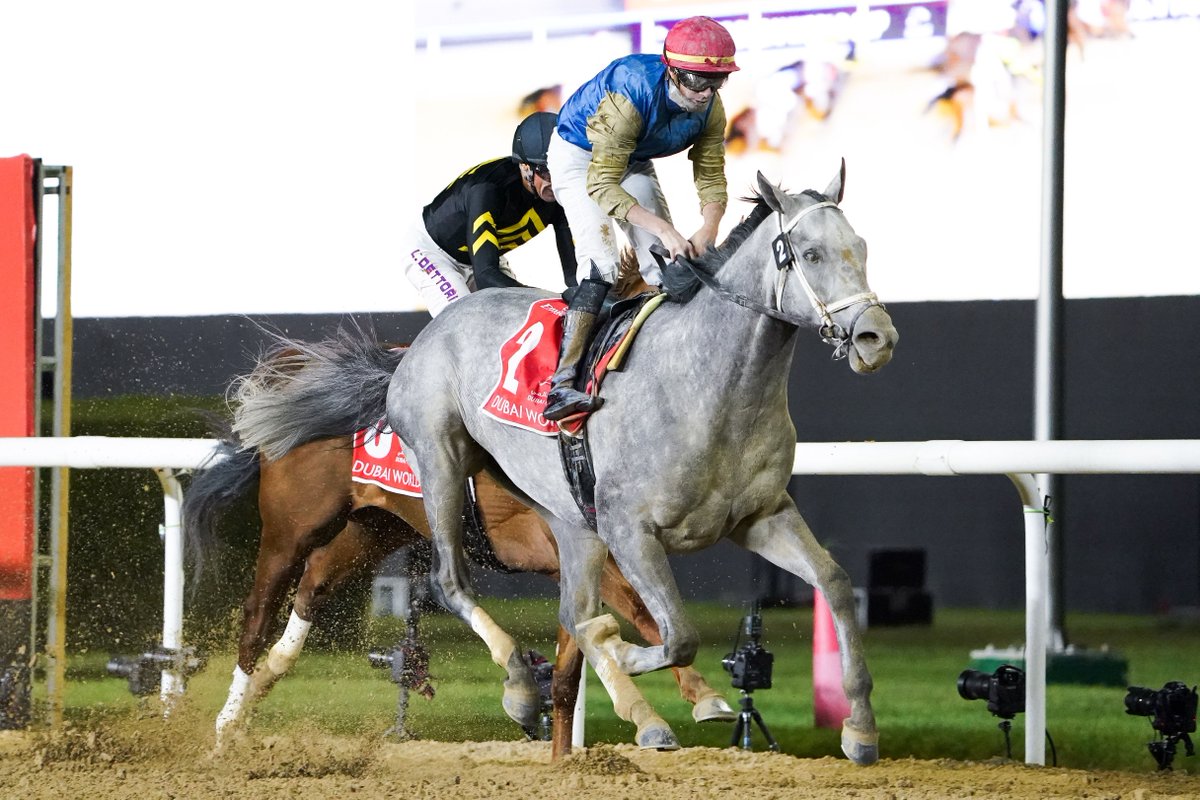 Eclipse Sportswire (@eclipsesports) on Twitter photo "Morning Glory! 🌟
Rise and shine! Meet the 2025 <a href="/DubaiWorldCup/">Dubai World Cup</a> champion, HIT SHOW! 🏆 His rally in the race has left the racing world buzzing!
What was your reaction to this incredible win?
📸 <a href="/simmy_hanley/">Shamela Hanley</a> "Morning Glory! 🌟
Rise and shine! Meet the 2025 <a href="/DubaiWorldCup/">Dubai World Cup</a> champion, HIT SHOW! 🏆 His rally in the race has left the racing world buzzing!
What was your reaction to this incredible win?
📸 <a href="/simmy_hanley/">Shamela Hanley</a>