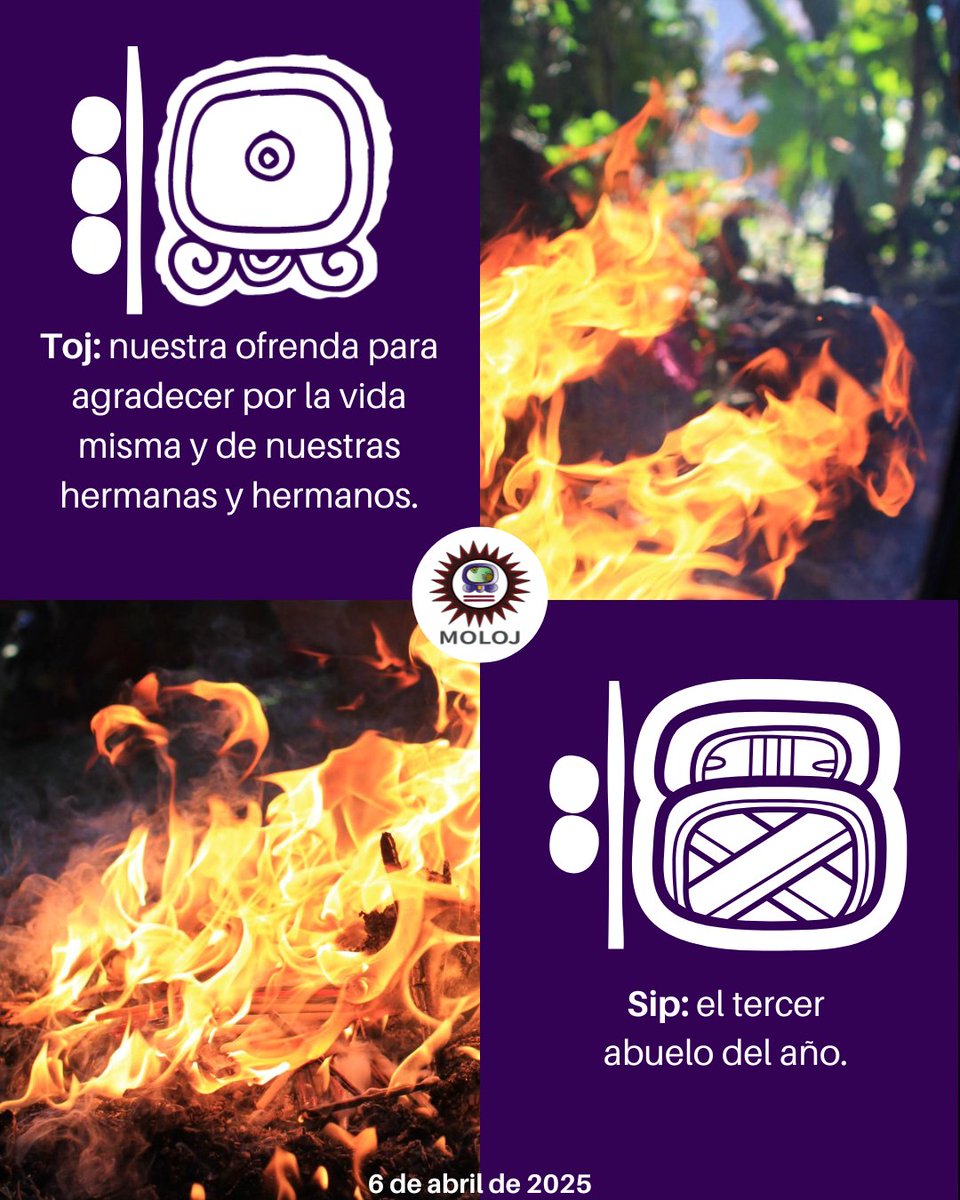 #Toj 🔥 | La energía del sagrado fuego 🔥 nos permita contemplar la tranquilidad de la existencia.✨️☀️

#fuegosagrado 
#tranquilidad 
#espiritualidadmaya
