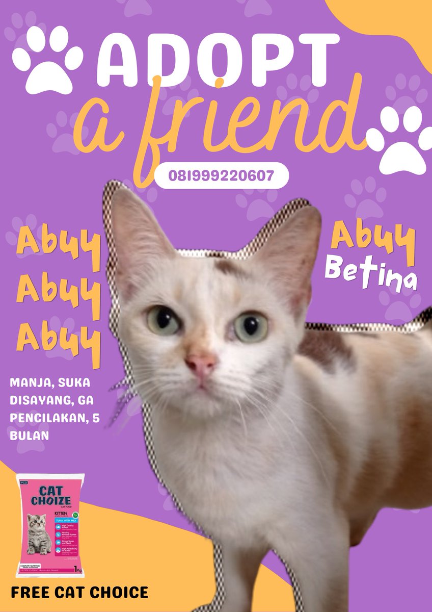 icha42808171's tweet photo. ADOPSI KUCING GRATIS (+free makanan kucing) - 
Umur : 5-10 bulan 
- Komitmen, tidak membuang kucing dengan alasan apapun (sakit/melahirkan/nakal), memberi kabar, makan, rumah layak juga kasih sayang Kontak : 081999220607 Alamat : Surabaya #adopsikucinggratis #adopsikucingsurabaya https://t.co/ViFTfTC6y4