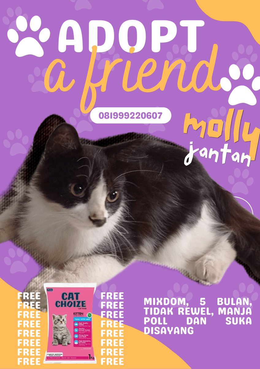 icha42808171's tweet photo. ADOPSI KUCING GRATIS (+free makanan kucing)
Umur : 5-10 bulan
bisa kirim kalo dekettt
Alamat : Surabaya #adopsikucinggratis #adopsikucingsurabaya https://t.co/y95HTy09gh