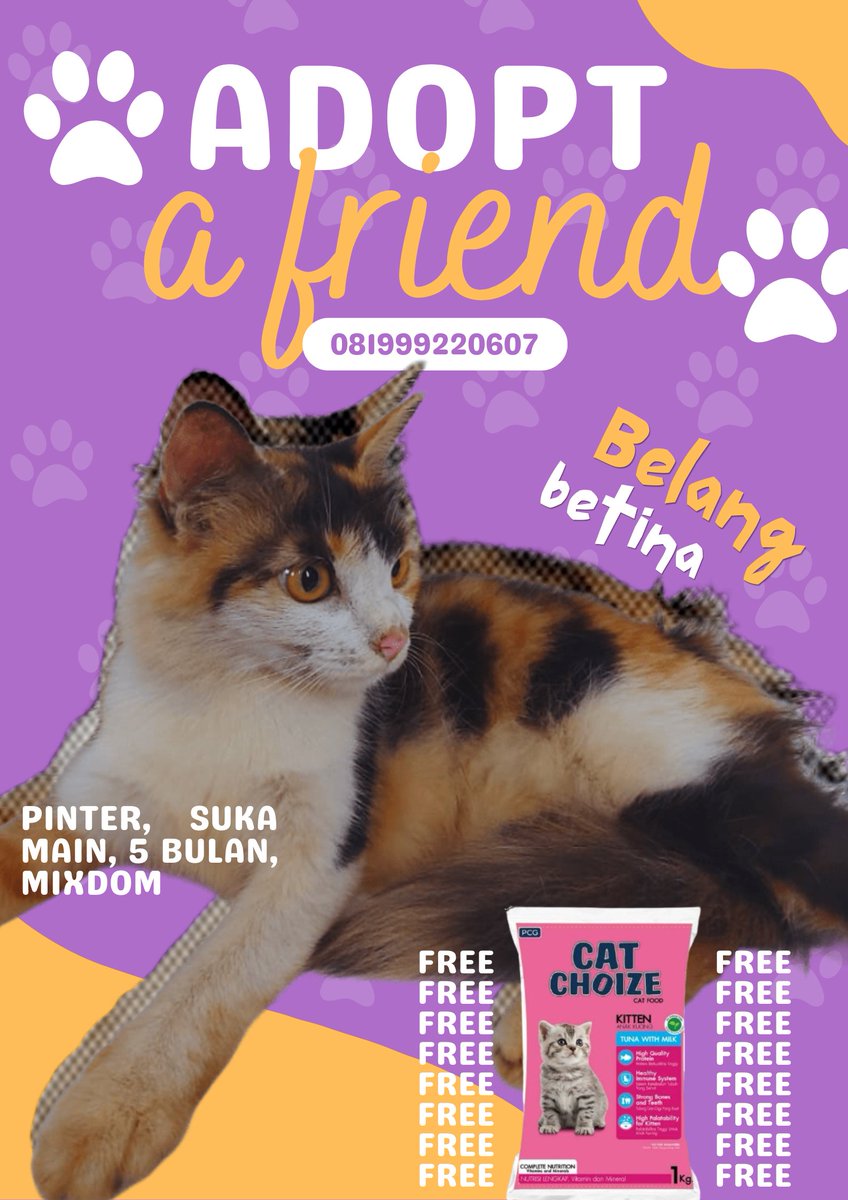 icha42808171's tweet photo. ADOPSI KUCING GRATIS (+free makanan kucing)
Umur : 5-10 bulan
bisa kirim kalo dekettt
Alamat : Surabaya #adopsikucinggratis #adopsikucingsurabaya https://t.co/y95HTy09gh