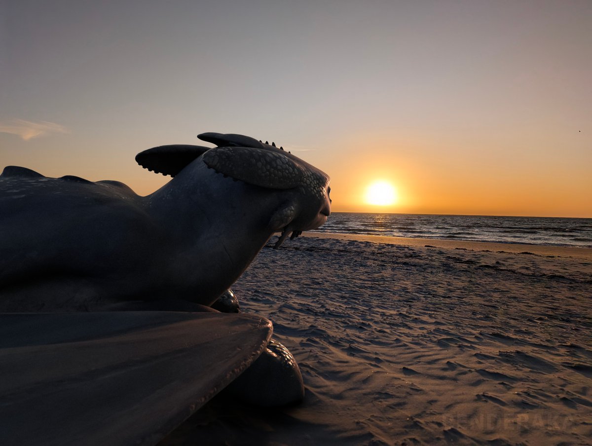 Benderaka tweet media