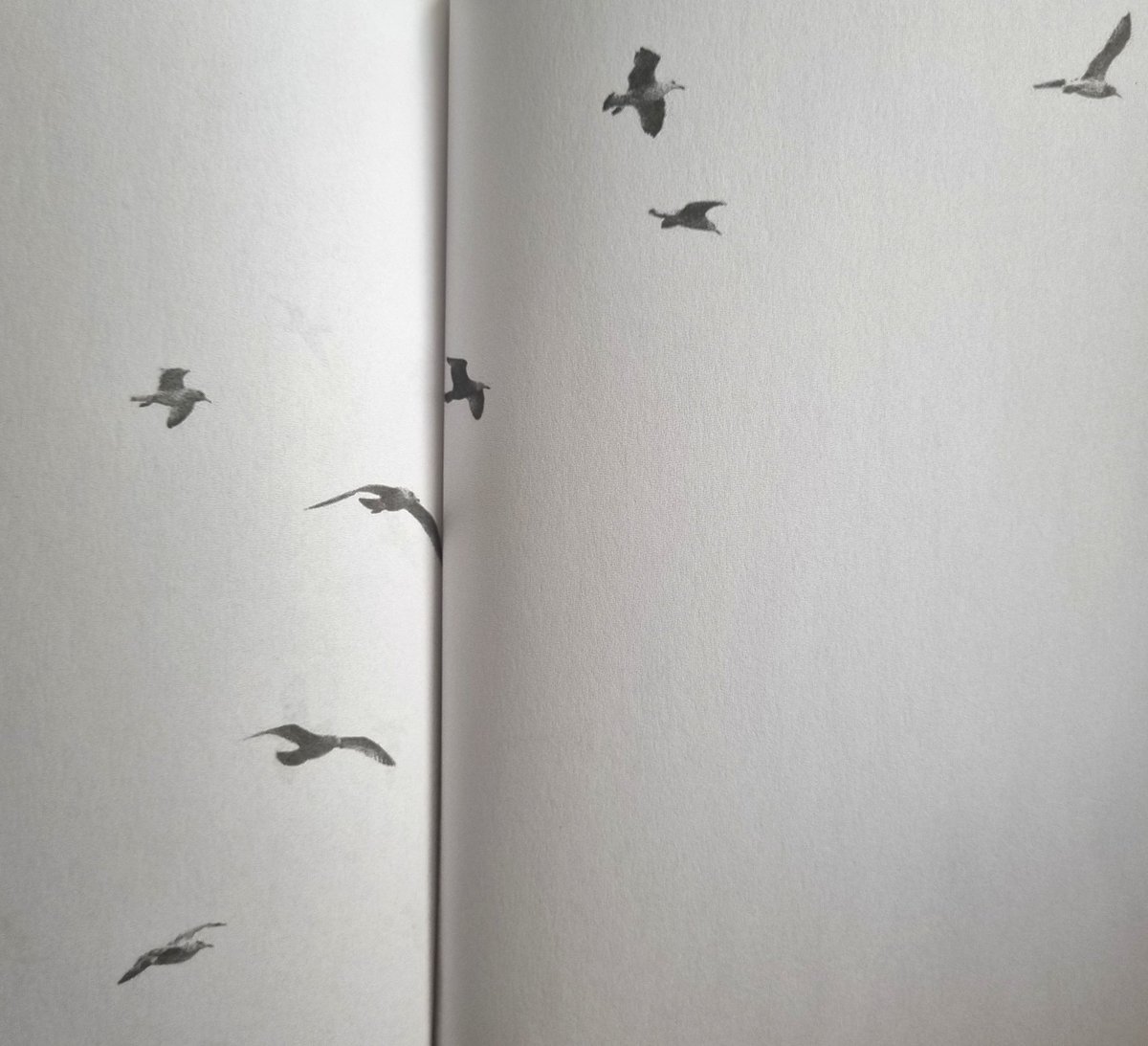 ''..tabii ki diğer dünyayı bir öncesinde öğrendiklerimizle kurarız. Fakat hiçbir şey öğrenilmemişse, sonraki yaşam öncesinin aynısı olacaktır; aynı sınırlar ve kazanmak için yüklenilen aynı sıkıntılar...''
Martı Jonathan Livingston-Richard Bach
#Martı #Seagull #RichardBach #kitap