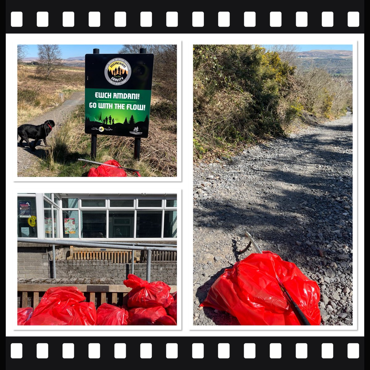 Ann Crimmings (@anncrimmings1) on Twitter photo Great to see the children at today’s litter-pick at Dare Valley Country Park <a href="/DVCP9/">@DareValleyCountryPark</a> <a href="/RCTCouncil/">RCT Council</a> - perfect day for it😎 Did you know that DVCP is a litter-picking hub <a href="/KWT_RCT/">Keep Wales Tidy RCT</a> where you can borrow a ‘picker’/bags any time to help keep DVCP litter free 😊 Great to see the children at today’s litter-pick at Dare Valley Country Park <a href="/DVCP9/">@DareValleyCountryPark</a> <a href="/RCTCouncil/">RCT Council</a> - perfect day for it😎 Did you know that DVCP is a litter-picking hub <a href="/KWT_RCT/">Keep Wales Tidy RCT</a> where you can borrow a ‘picker’/bags any time to help keep DVCP litter free 😊
