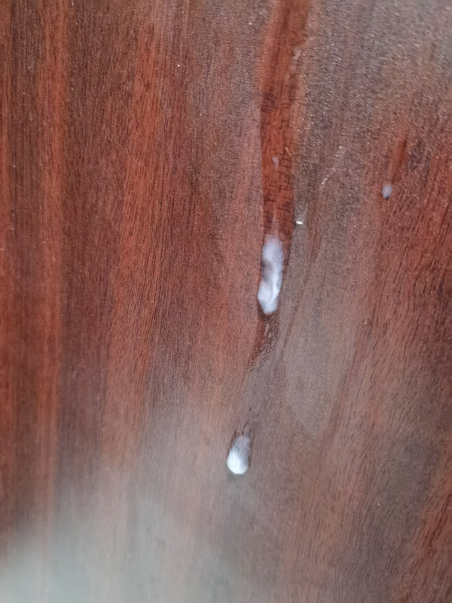 blacksockfun1069 tweet media