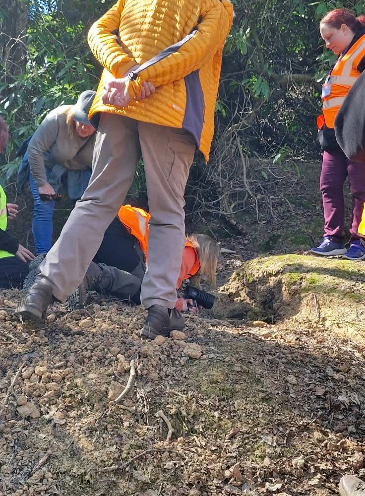 What a beautiful day for some sett surveying! Members old and new enjoyed a bit of exercise and good company. More to look forward to this week as we begin a series of regular badger watches for Mid Derbyshire Badger Group members 👀🦡🦡🦡🦡