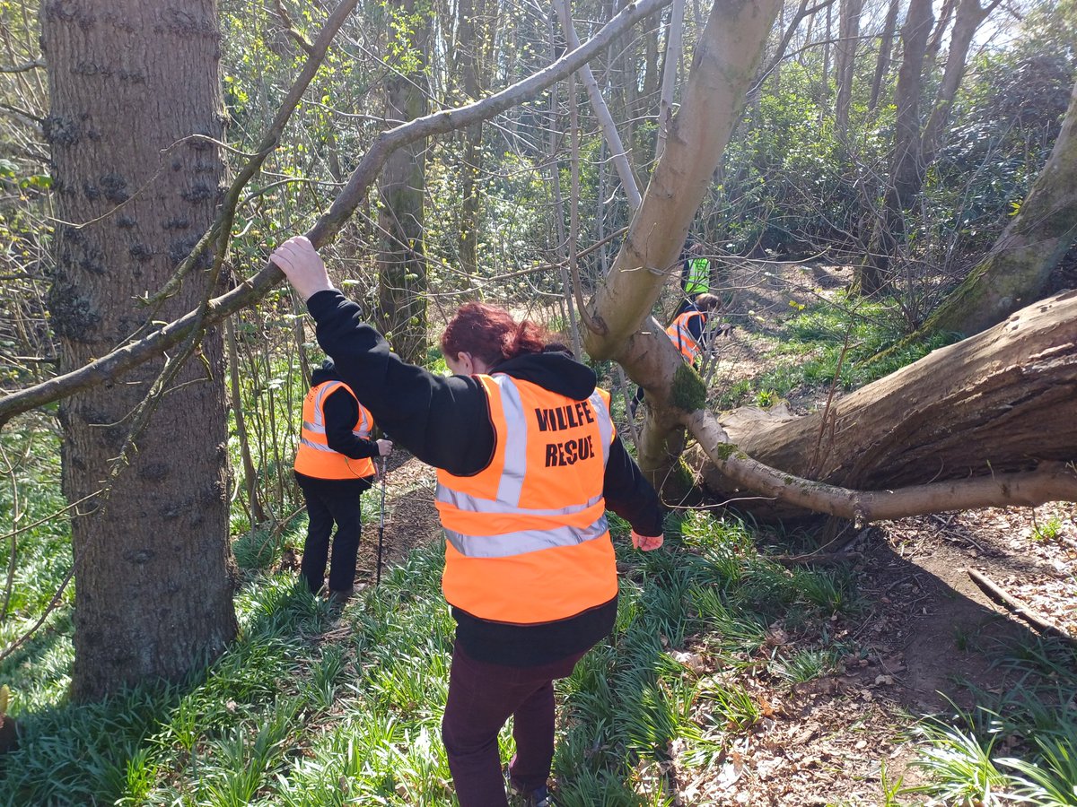 MD_badgers's tweet photo. What a beautiful day for some sett surveying! Members old and new enjoyed a bit of exercise and good company. More to look forward to this week as we begin a series of regular badger watches for Mid Derbyshire Badger Group members 👀🦡🦡🦡🦡 https://t.co/SOdaOISDr9
