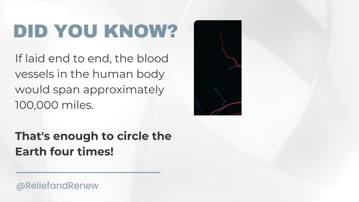 DrJWootton's tweet image. Healthy vessels = healthy life. Keep them strong with movement, hydration, and care! 💓 #CirculationMatters #WellnessFacts #ReliefAndRenew #neuropathytreatment #memphis #memphistn #naturalhealing #relief #kneepain #pain  #painrelief #reliefandrenew #holistichealing #NervePainHelp