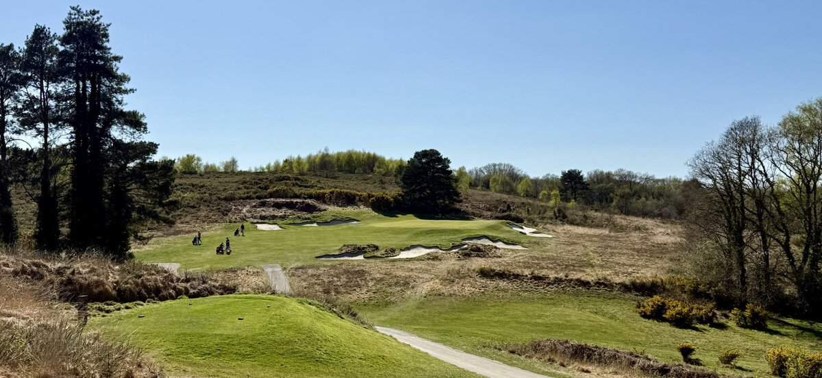 Dorset Golfer tweet media