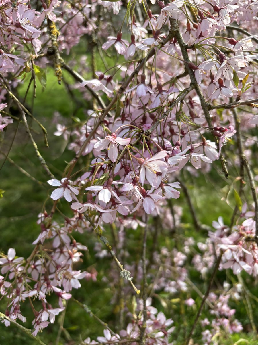 Susan Jones tweet media