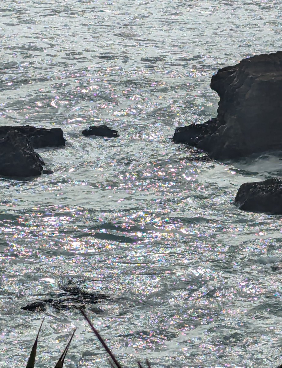 femmenart's tweet photo. water glitter is so special to me https://t.co/hnm0J7Y7fs