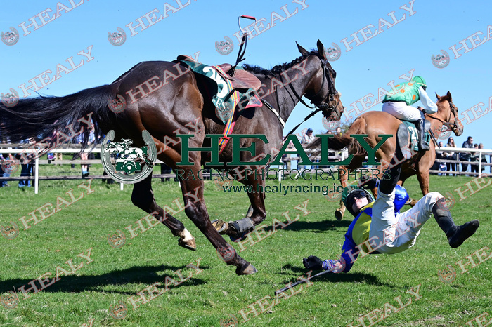 HEALY RACING tweet media