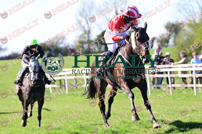 HEALY RACING tweet media