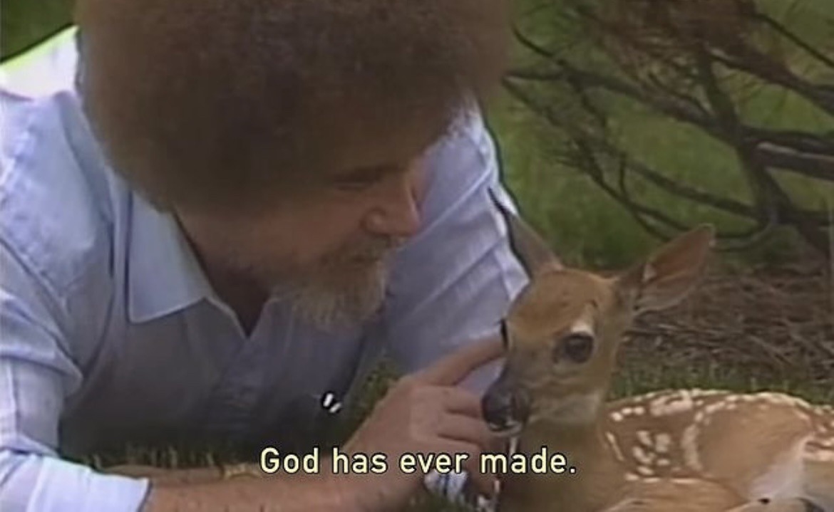 Have I Got Deer For You (@haveigotdeer) on Twitter photo 