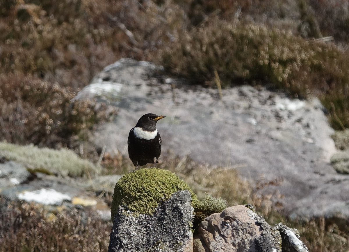 Matt Eade tweet media