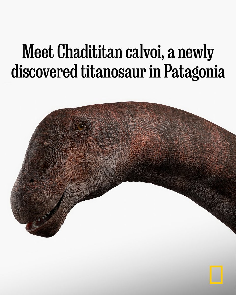 National Geographic tweet media