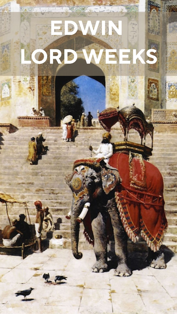 jad fenergi tweet media