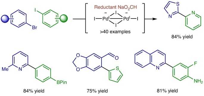 Peng Liu and collaborators investigate a mechanism for cross-coupling aryl halides using formate as a mediator. This method offers opportunities for efficient syntheses using green reductants under mild conditions. Read more in Nature Chemistry: zurl.co/0wVbz