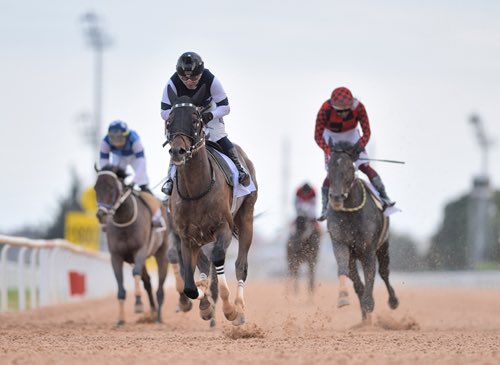 Cem Kaan Parsak tweet media