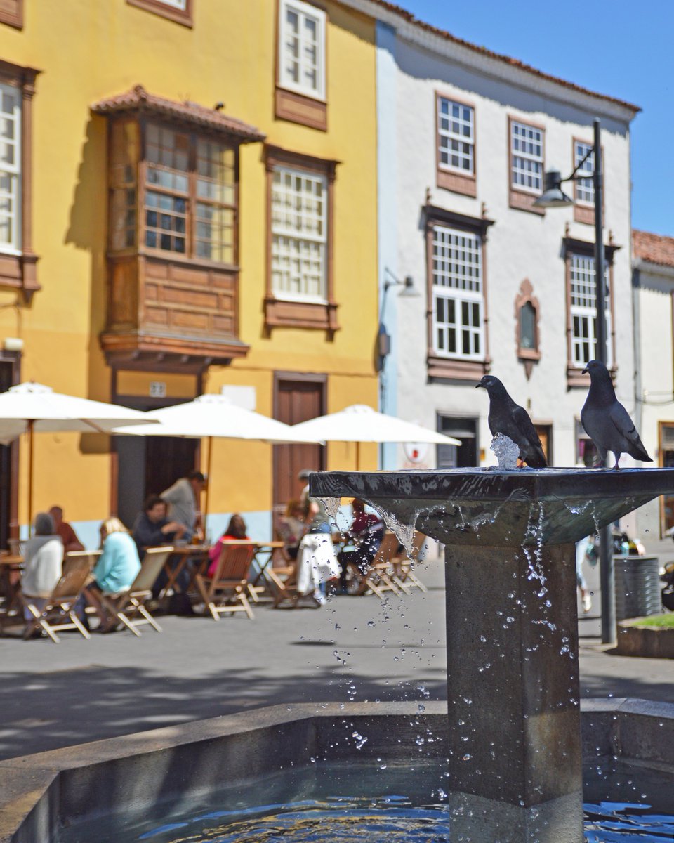 Turismo La Laguna tweet media