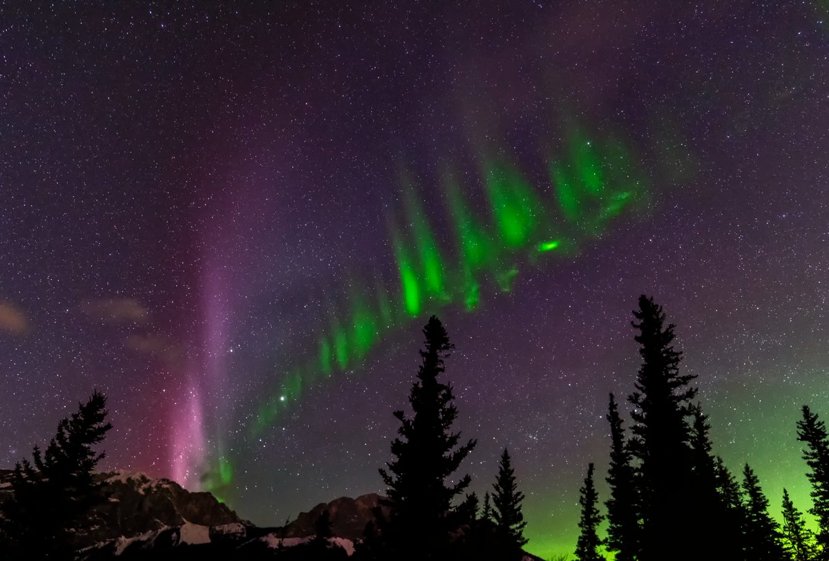 Harlan Thomas (@theauroraguy) on Twitter photo <a href="/mtnatlforest/">Saltfamily</a> <a href="/ImagesByStan/">Images By Stan</a> <a href="/TamithaSkov/">Dr. Tamitha Skov</a> <a href="/mikesobel/">Mike Sobel</a> <a href="/chunder10/">James Rowley-Hill</a> <a href="/EdmontonRASC/">Astronomy Edmonton</a> <a href="/CalgaryRASC/">RASC Calgary Centre</a> <a href="/aurora_chasers/">theaurorachasers</a> <a href="/AuroraNowApp/">Aurora Now App</a> <a href="/Canada_eng/">Keith Stelter</a> This is what a Picket Fence Aurora looks like, and is almost always associated with a SAID event. <a href="/mtnatlforest/">Saltfamily</a> <a href="/ImagesByStan/">Images By Stan</a> <a href="/TamithaSkov/">Dr. Tamitha Skov</a> <a href="/mikesobel/">Mike Sobel</a> <a href="/chunder10/">James Rowley-Hill</a> <a href="/EdmontonRASC/">Astronomy Edmonton</a> <a href="/CalgaryRASC/">RASC Calgary Centre</a> <a href="/aurora_chasers/">theaurorachasers</a> <a href="/AuroraNowApp/">Aurora Now App</a> <a href="/Canada_eng/">Keith Stelter</a> This is what a Picket Fence Aurora looks like, and is almost always associated with a SAID event.
