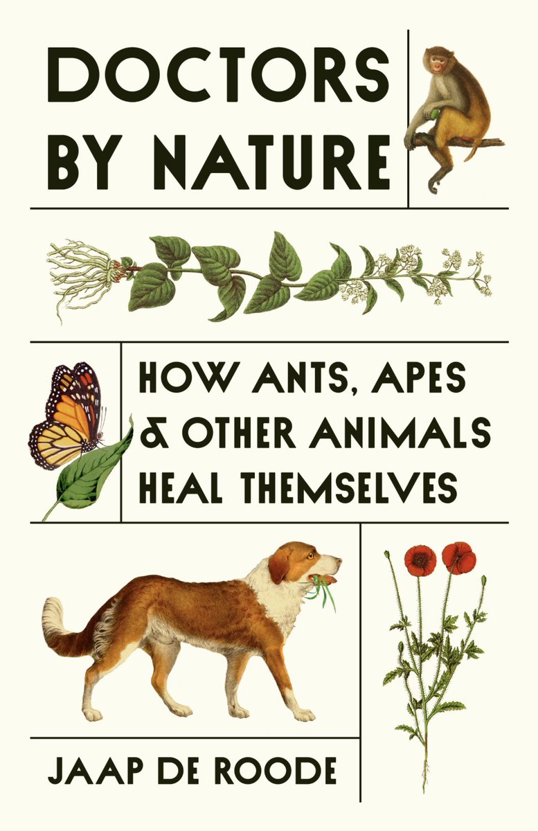 The new book Doctors by Nature "invites deeper reflection on what it means to medicate, how landscapes shape access to medicine, and whether we humans are as discerning in our self-medicating choices as our nonhuman counterparts."

Read the #ScienceBooks Review: