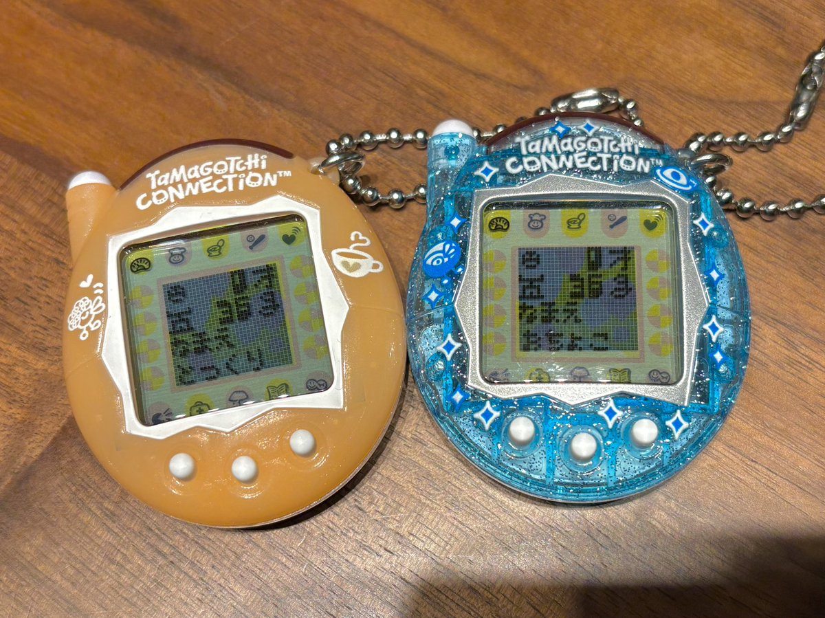 たまコネ初おやじ