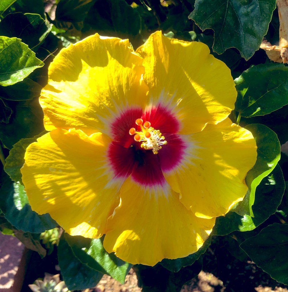 GM! Happy Sunday! ☀️

Monday will be upon you before you know it, so don’t let today pass you by!

“One way to get the most out of life is to look upon it as an adventure.”
William Feather

Be adventurous today #web3!
#StayClassy🦏