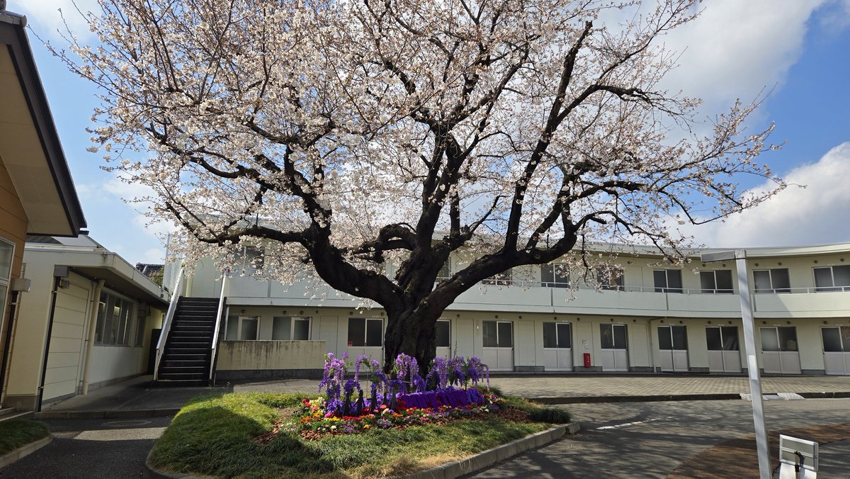 69REVOLVER96's tweet photo. BUCK-TICK群馬横断🌸
#BUCKTICK
#藤岡市観光協会
#館林美術館
#宇野亜喜良 https://t.co/95e3SmoV7j